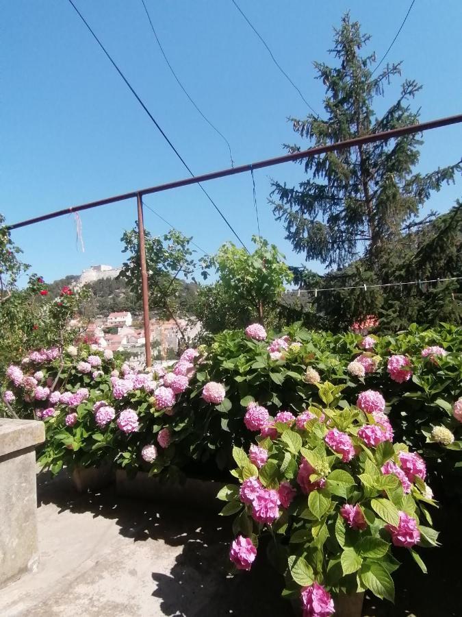 Guesthouse Bracanovic Hvar Town Eksteriør bilde